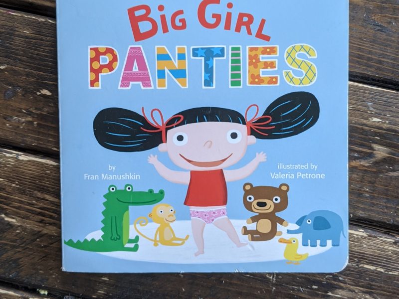 Big Girl Panties Book