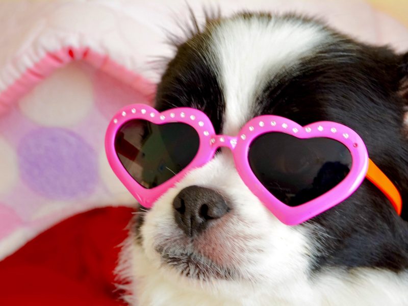 Valentines Day Activities